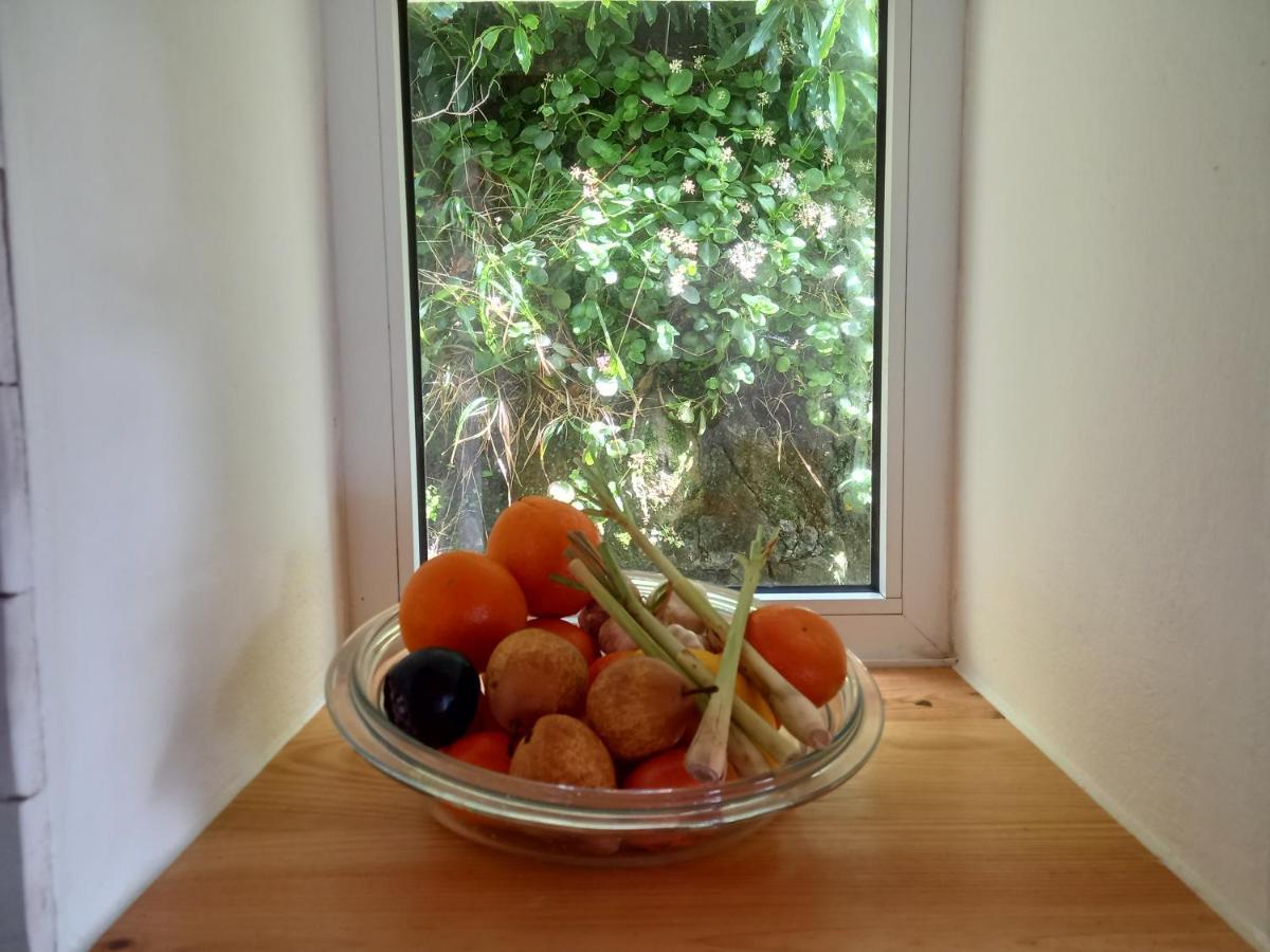 Casinha Do Barreiro - Cosy Private Cottage 波尔图镇 外观 照片